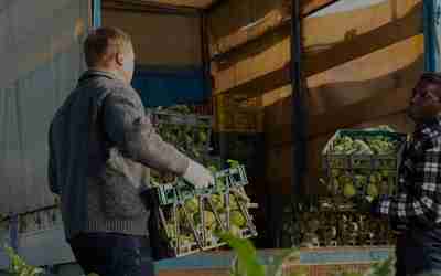 Two men loading crates of fruit into a truck.