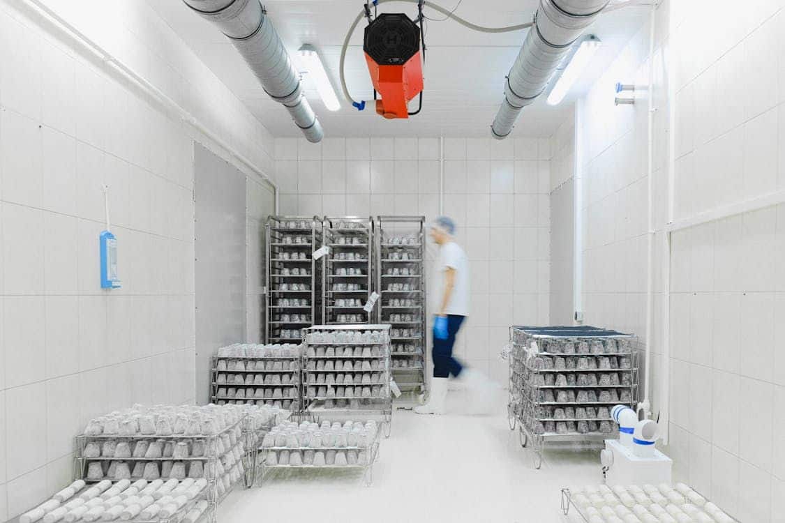 A person walks into a sterile room resembling Chicago Cold Storage, where metal racks hold stacks of eggs arranged neatly on trays, efficiently supporting the food supply chain.